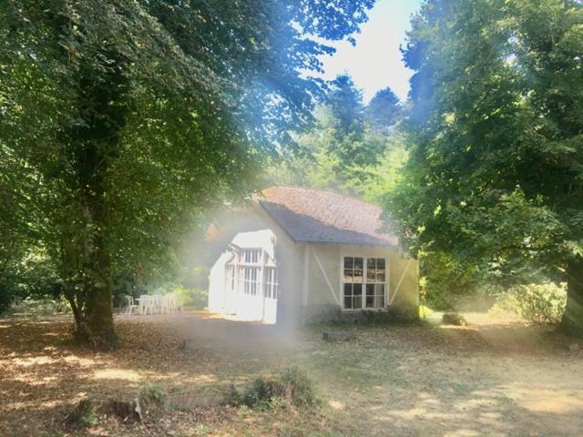 Domaine Du Lampy-Neuf Hotell Saissac Eksteriør bilde
